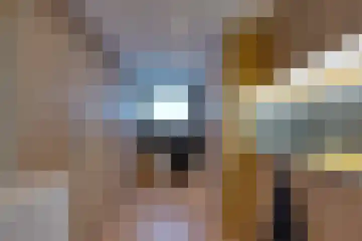 Tiplanden 1 Assen thumbnail 18