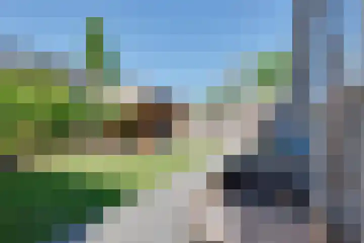 Tiplanden 1 Assen thumbnail 39