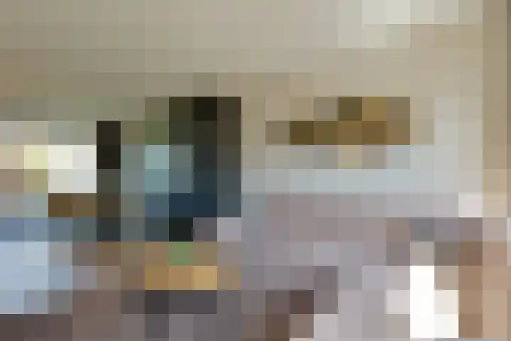 Tiplanden 1 Assen thumbnail 4