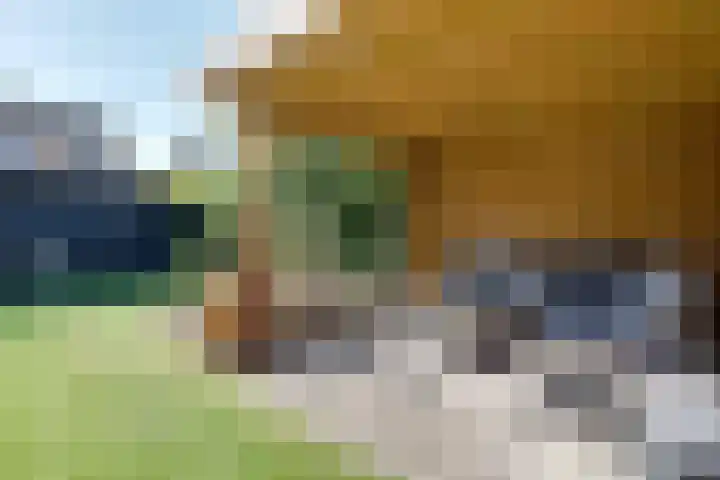 Tiplanden 1 Assen thumbnail 43