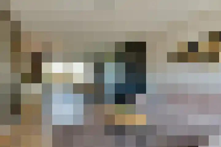 Tiplanden 1 Assen thumbnail 5