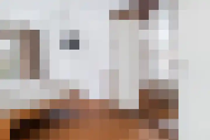Titanium 32 Rhoon thumbnail 18