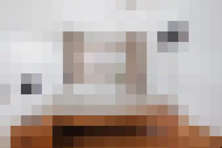 Titanium 32 Rhoon thumbnail 19