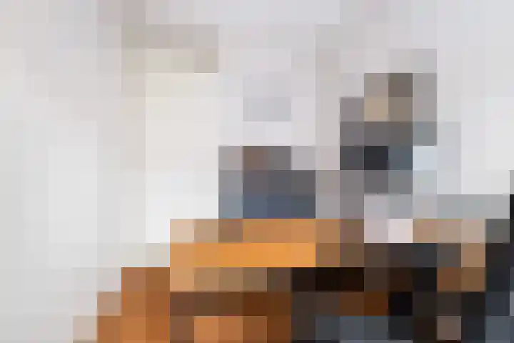 Titanium 32 Rhoon thumbnail 25