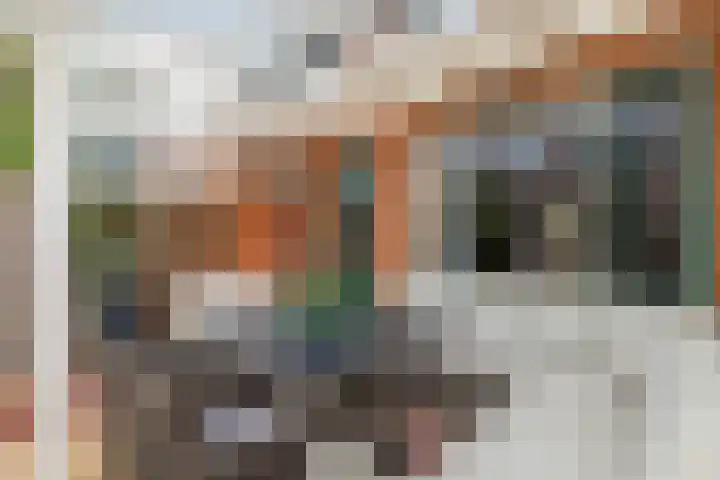 Titanium 32 Rhoon thumbnail 35