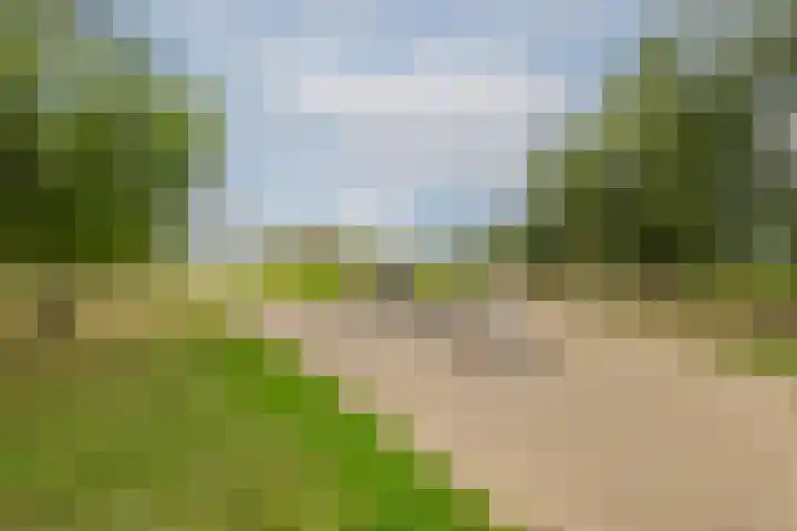 Titanium 32 Rhoon thumbnail 40