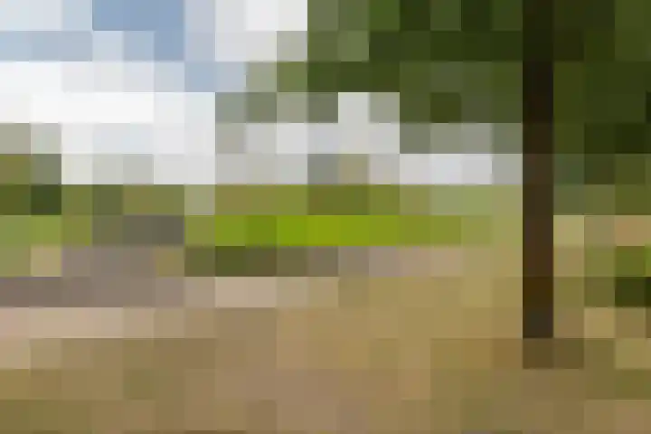 Titanium 32 Rhoon thumbnail 41
