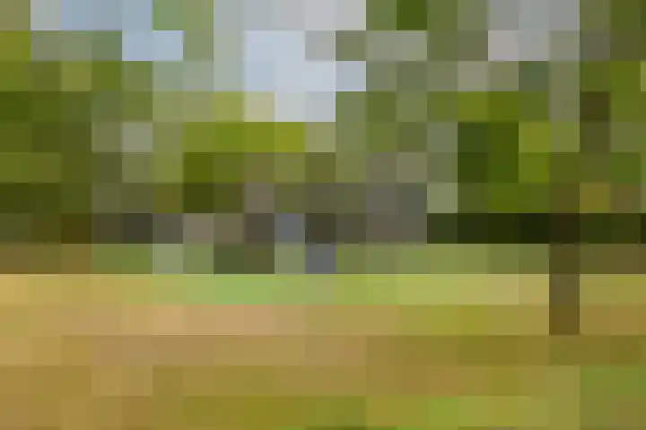 Titanium 32 Rhoon thumbnail 42