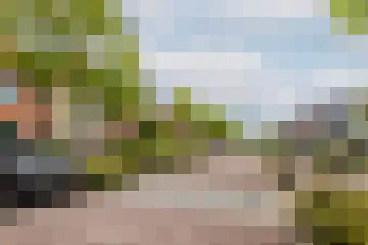 Titanium 32 Rhoon thumbnail 6