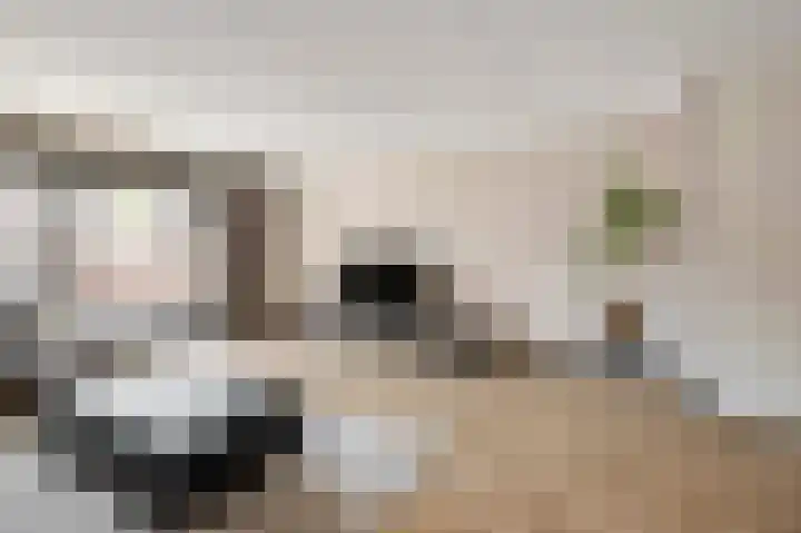 Titanium 4 Arnhem thumbnail 11