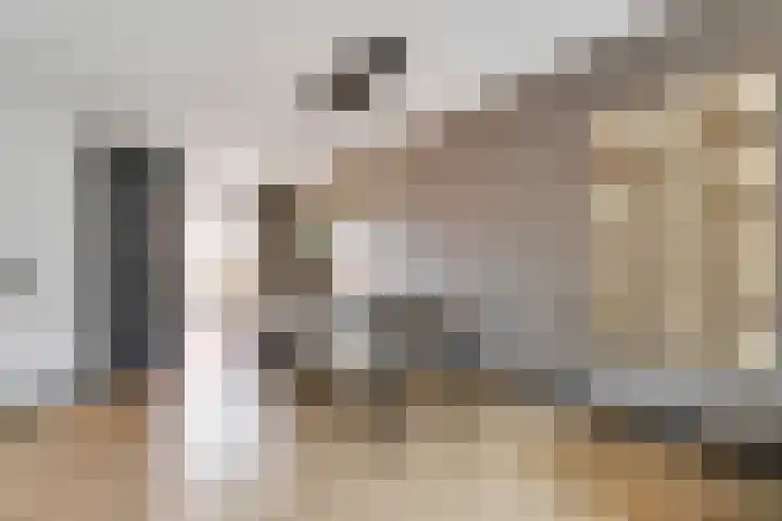 Titanium 4 Arnhem thumbnail 14