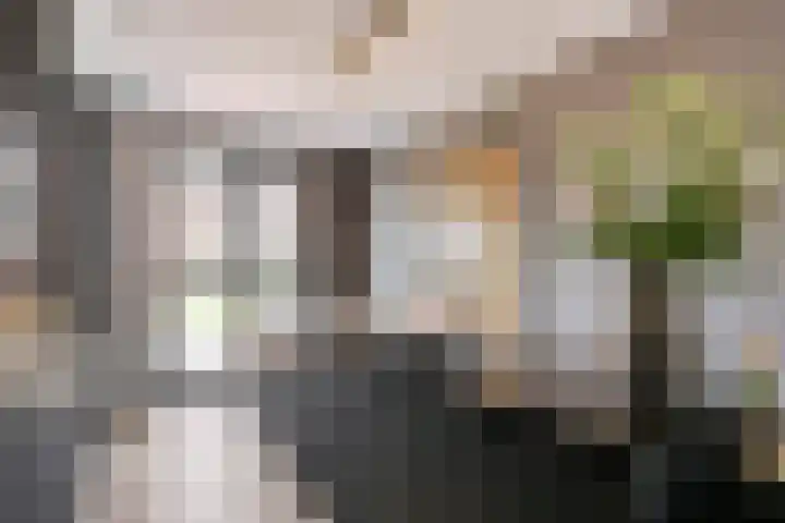 Titanium 4 Arnhem thumbnail 17