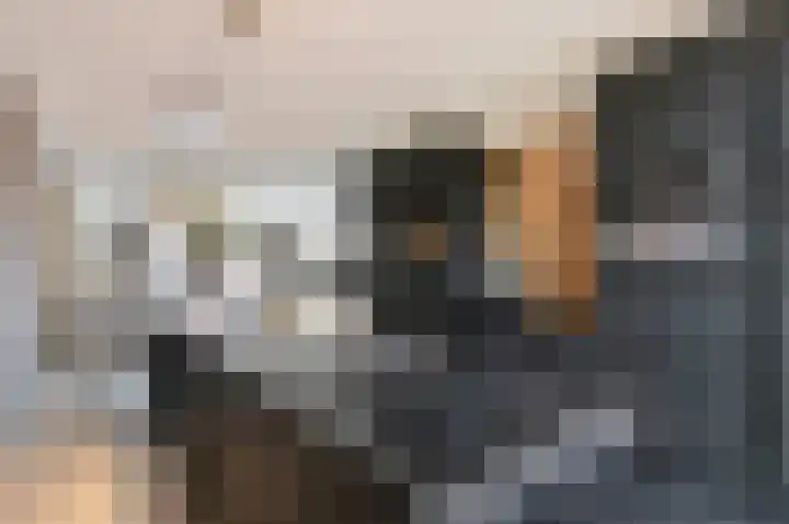Titanium 4 Arnhem thumbnail 18