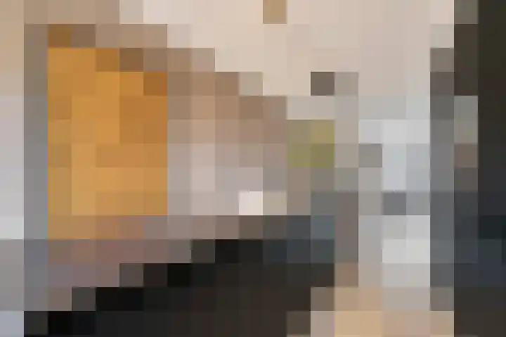 Titanium 4 Arnhem thumbnail 19
