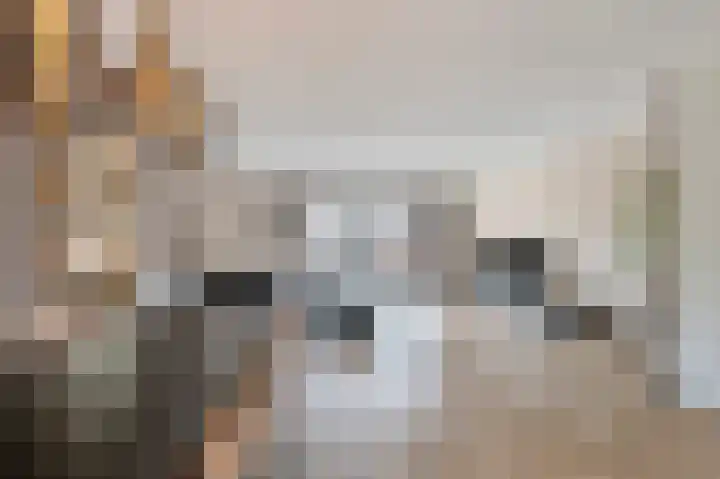 Titanium 4 Arnhem thumbnail 20