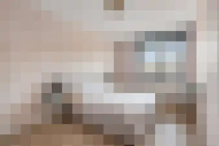 Titanium 4 Arnhem thumbnail 31