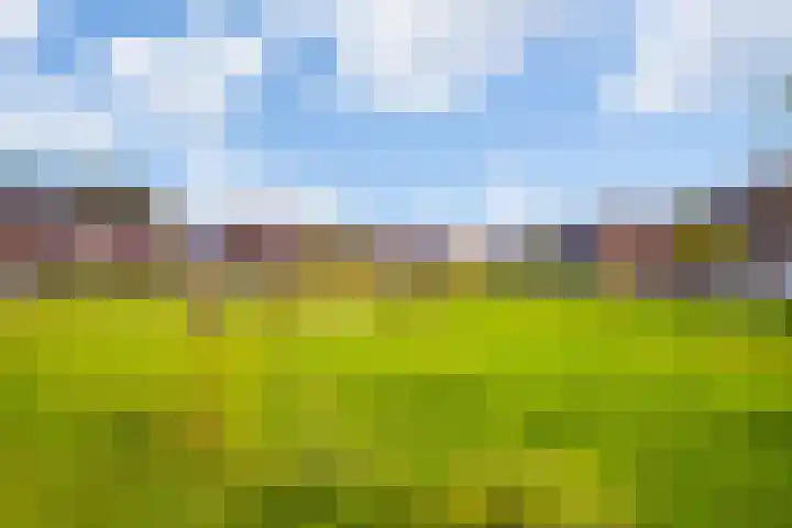 Titanium 4 Arnhem thumbnail 47