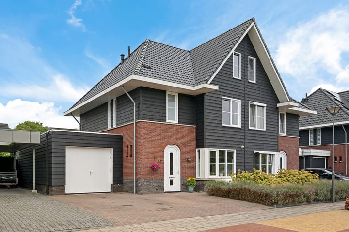 Titelroas 42a in Boornbergum foto