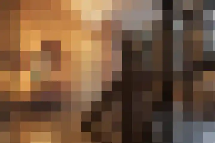 Tivolilaan 59 Arnhem thumbnail 32