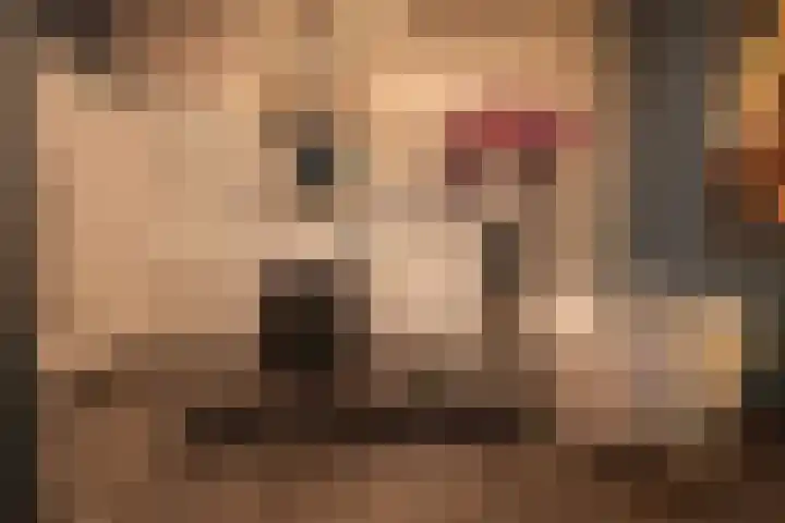 Tivolilaan 59 Arnhem thumbnail 45