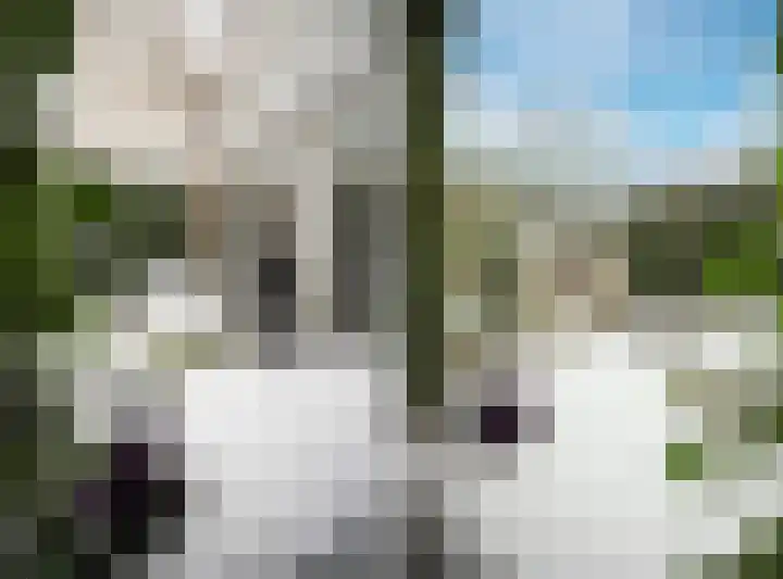 Tivolilaan 59 Arnhem thumbnail 49
