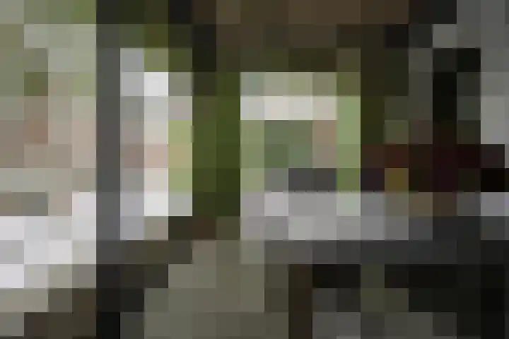 Tivolilaan 59 Arnhem thumbnail 6