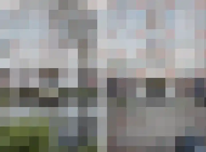 Tivolilaan 59 Arnhem thumbnail 8