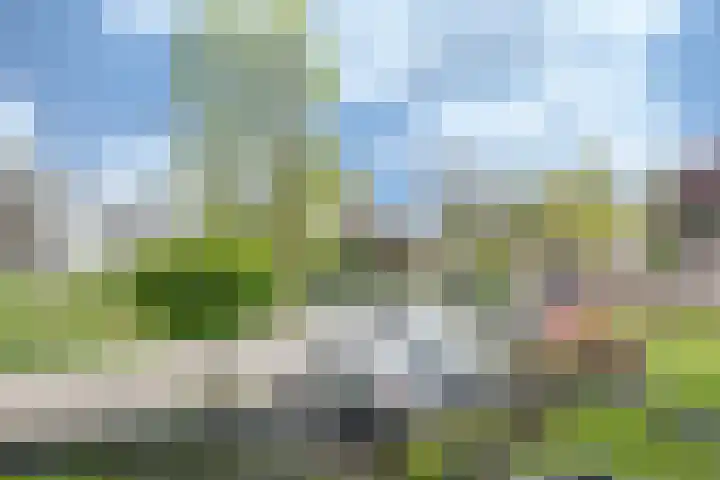 Tivolipark 6 Oudenbosch thumbnail 4
