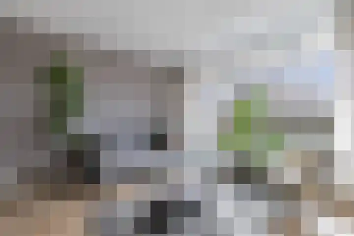 Tjaarda 24 Drachten thumbnail 18
