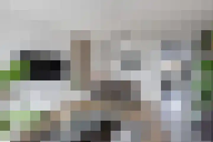 Tjaarda 24 Drachten foto 2
