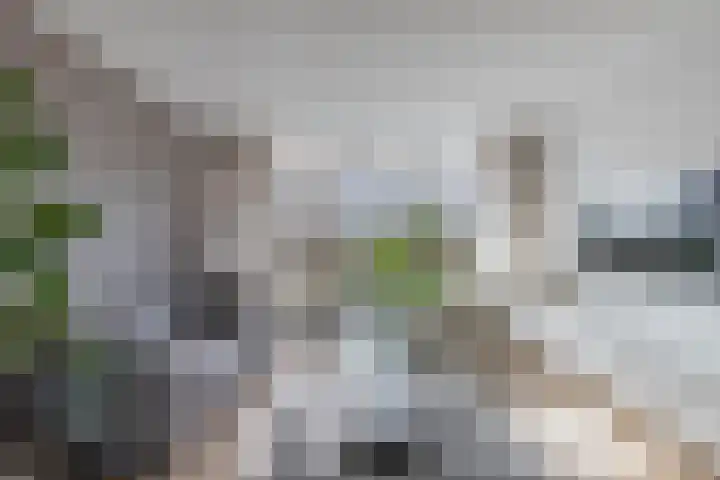 Tjaarda 24 Drachten thumbnail 20