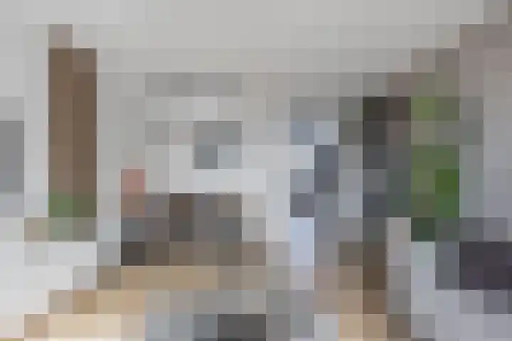 Tjaarda 24 Drachten thumbnail 22