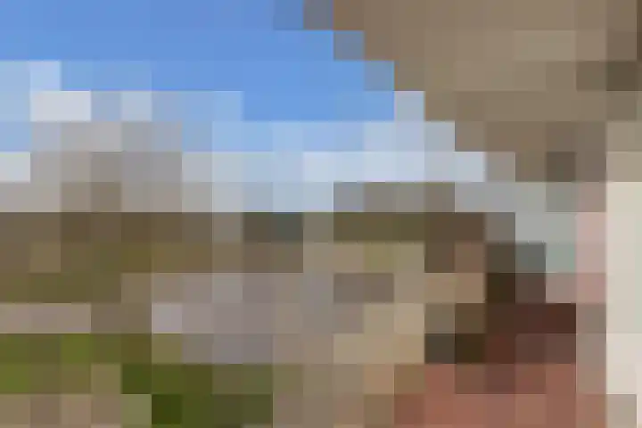 Tjaarda 24 Drachten thumbnail 23