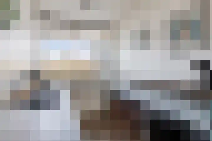 Tjaarda 24 Drachten thumbnail 30