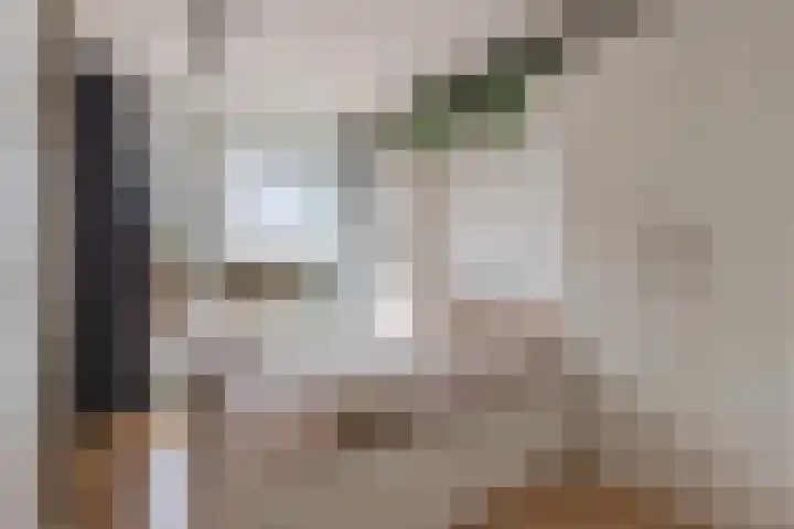 Tjaarda 24 Drachten thumbnail 33
