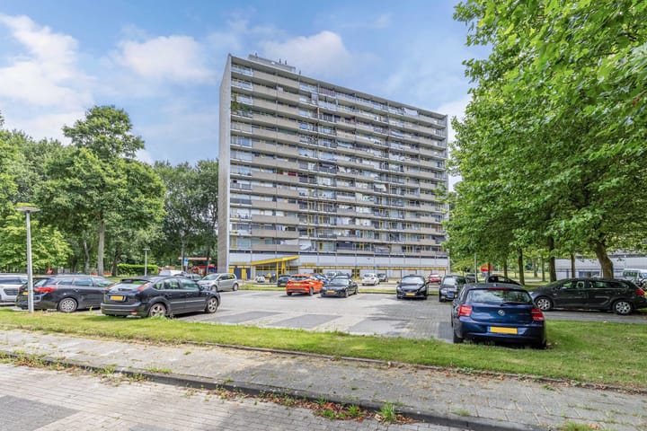 Tjaarda 348 in Drachten foto