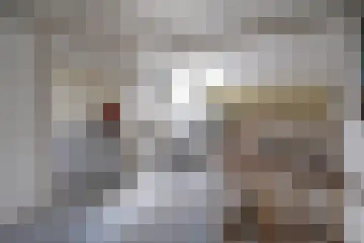 Tjalk 11 Huizen thumbnail 15