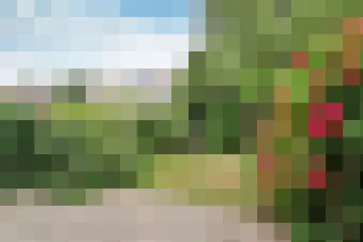 Tjalk 11 Huizen thumbnail 18