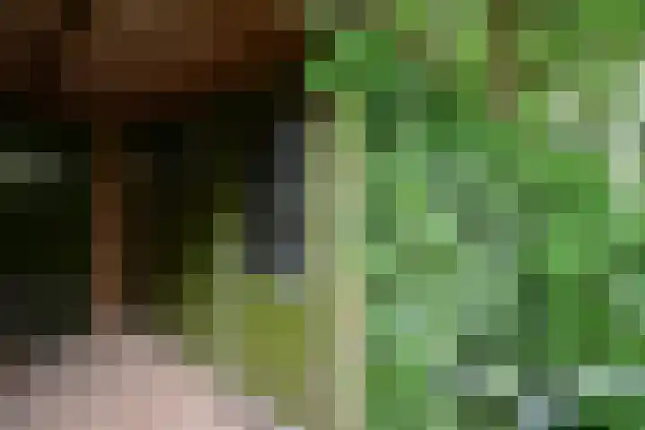 Tjalk 11 Huizen thumbnail 19