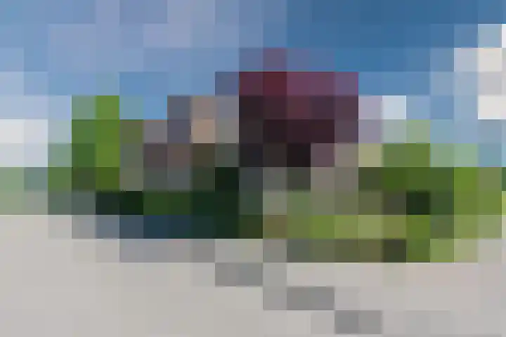 Tjalk 24 24 46 Lelystad thumbnail 34