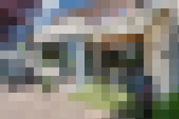Tjalk 24 24 46 Lelystad thumbnail 4