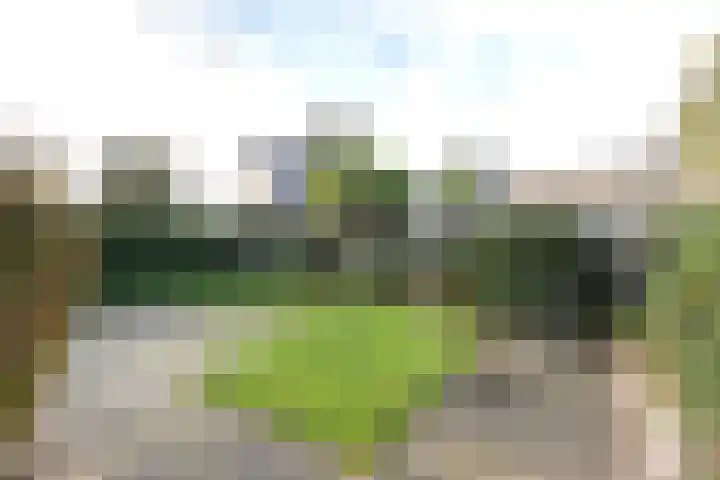Tjalk 50 Zuidhorn thumbnail 12