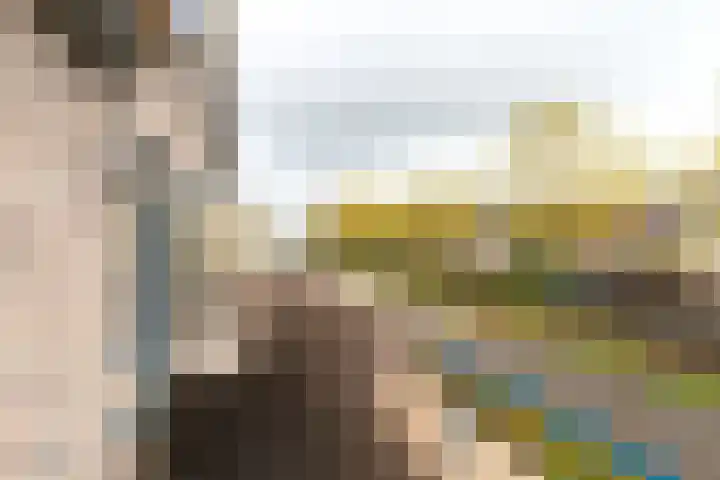 Tjalk 50 Zuidhorn thumbnail 19
