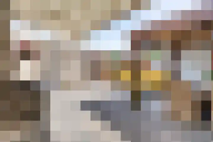 Tjalk 72 Volendam thumbnail 13