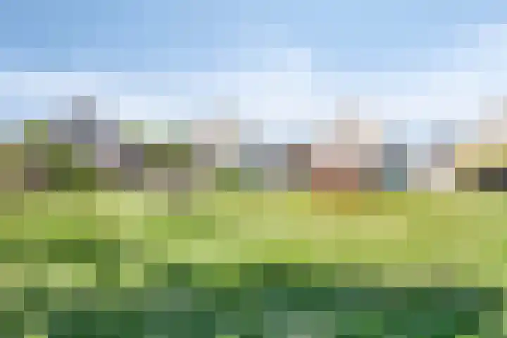 Tjalk 72 Volendam thumbnail 32