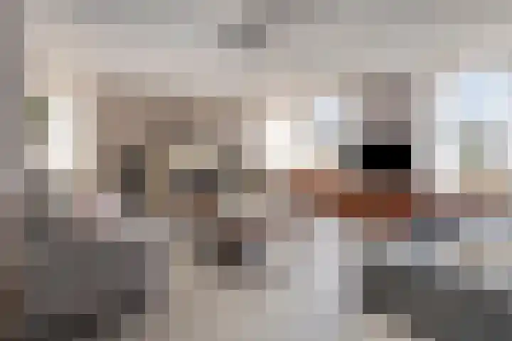 Tjalk 72 Volendam thumbnail 5