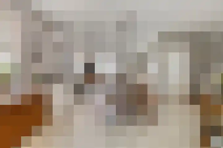 Tjalk 72 Volendam thumbnail 9