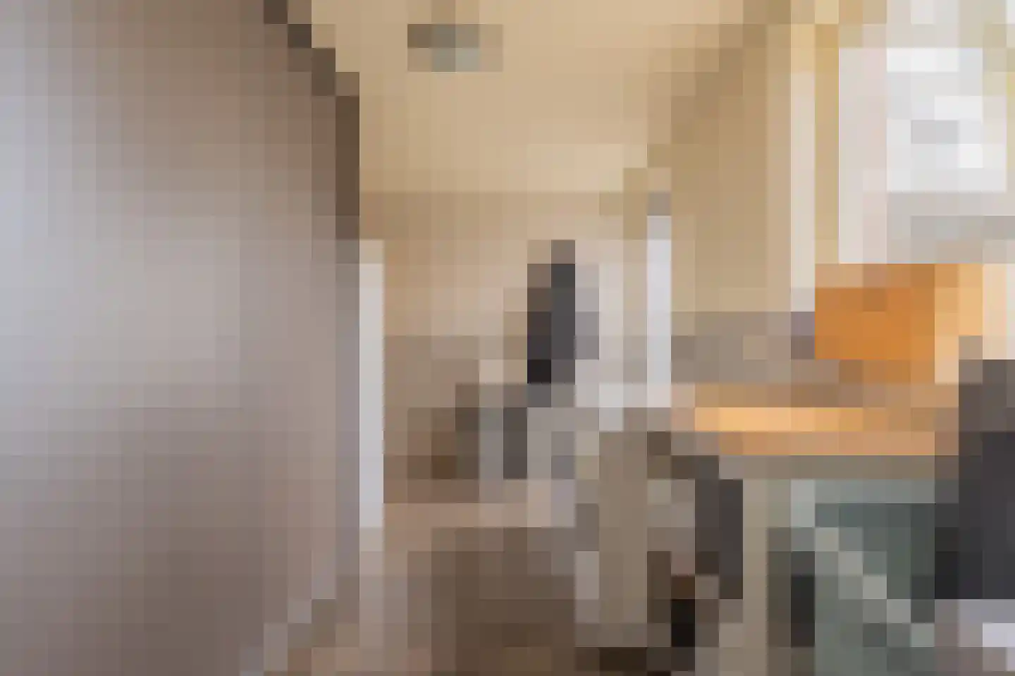 Tjalkstraat 5 Lemelerveld thumbnail 12
