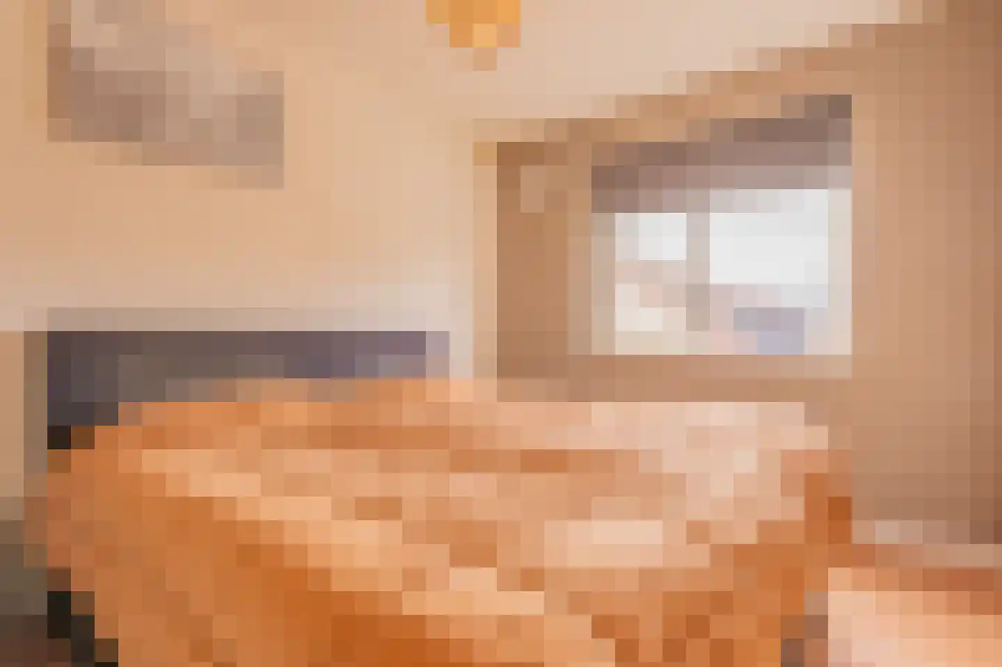 Tjalkstraat 5 Lemelerveld thumbnail 18