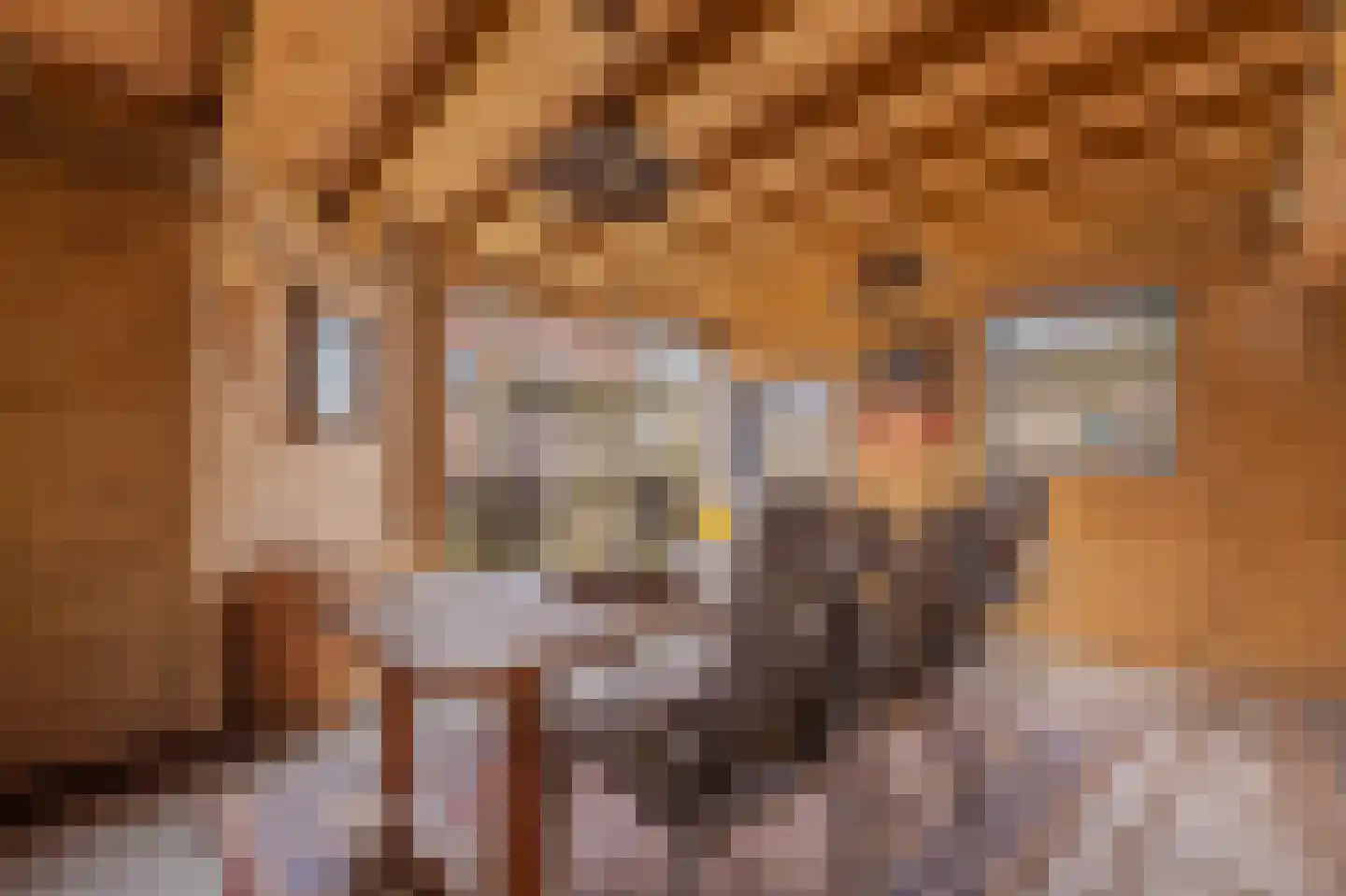 Tjalkstraat 5 Lemelerveld thumbnail 32